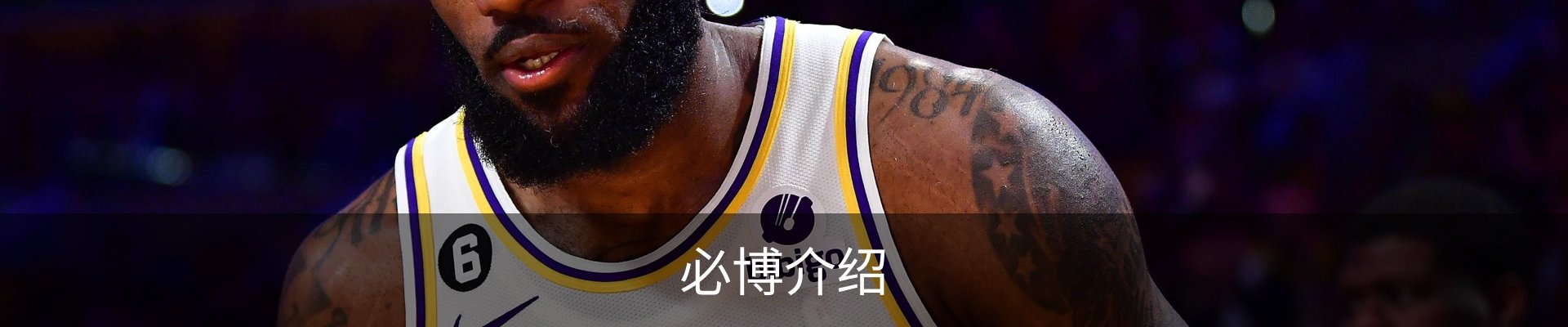 必博介绍